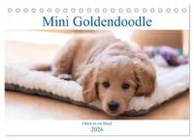 Schulz / CALVENDO |  Mini Goldendoodle - Glück ist ein Hund (Tischkalender 2026 DIN A5 quer), CALVENDO Monatskalender | Sonstiges |  Sack Fachmedien