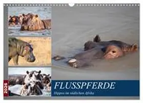 Quentin / CALVENDO |  Hippos im südlichen Afrika (Wandkalender 2026 DIN A3 quer), CALVENDO Monatskalender | Sonstiges |  Sack Fachmedien