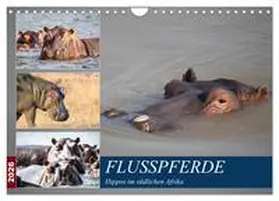 Quentin / CALVENDO |  Hippos im südlichen Afrika (Wandkalender 2026 DIN A4 quer), CALVENDO Monatskalender | Sonstiges |  Sack Fachmedien