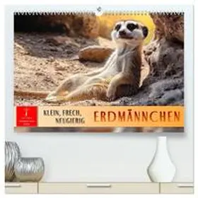 Roder / CALVENDO |  Erdmännchen - klein, frech, neugierig (hochwertiger Premium Wandkalender 2026 DIN A2 quer), Kunstdruck in Hochglanz | Sonstiges |  Sack Fachmedien