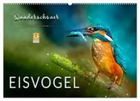 Roder / CALVENDO |  Wunderschöner Eisvogel (Wandkalender 2026 DIN A2 quer), CALVENDO Monatskalender | Sonstiges |  Sack Fachmedien