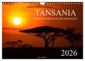 Köhler / CALVENDO | Tansania - Tierwanderung in der Serengeti (Wandkalender 2026 DIN A4 quer), CALVENDO Monatskalender | Sonstiges | 978-3-457-84291-1 | sack.de