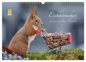 Meier / CALVENDO |  Eichhörnchen Luna und ihre Kinder (Wandkalender 2026 DIN A3 quer), CALVENDO Monatskalender | Sonstiges |  Sack Fachmedien