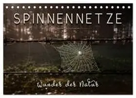 Roder / CALVENDO |  Spinnennetze - Wunder der Natur (Tischkalender 2026 DIN A5 quer), CALVENDO Monatskalender | Sonstiges |  Sack Fachmedien