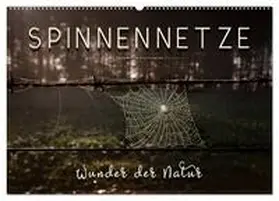 Roder / CALVENDO |  Spinnennetze - Wunder der Natur (Wandkalender 2026 DIN A2 quer), CALVENDO Monatskalender | Sonstiges |  Sack Fachmedien