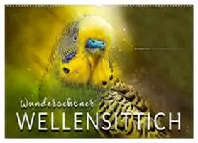 Roder / CALVENDO |  Wunderschöner Wellensittich (Wandkalender 2026 DIN A2 quer), CALVENDO Monatskalender | Sonstiges |  Sack Fachmedien