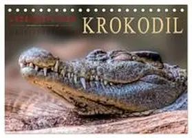 Roder / CALVENDO |  Urzeitreptilien - Krokodil (Tischkalender 2026 DIN A5 quer), CALVENDO Monatskalender | Sonstiges |  Sack Fachmedien