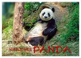 Roder / CALVENDO |  Niedlicher Panda (Wandkalender 2026 DIN A2 quer), CALVENDO Monatskalender | Sonstiges |  Sack Fachmedien