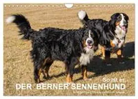 Hunscheidt / CALVENDO |  So ist er. Der Berner Sennenhund (Wandkalender 2026 DIN A4 quer), CALVENDO Monatskalender | Sonstiges |  Sack Fachmedien