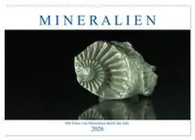 Eckert / CALVENDO |  Mineralien (Wandkalender 2026 DIN A2 quer), CALVENDO Monatskalender | Sonstiges |  Sack Fachmedien
