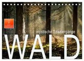 Roder / CALVENDO |  Wald - mystische Spaziergänge (Tischkalender 2026 DIN A5 quer), CALVENDO Monatskalender | Sonstiges |  Sack Fachmedien