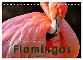 Roder / CALVENDO |  Flamingos - elegante Schönheiten (Tischkalender 2026 DIN A5 quer), CALVENDO Monatskalender | Sonstiges |  Sack Fachmedien