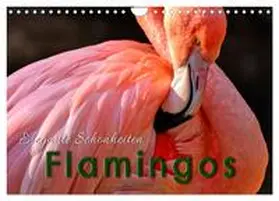 Roder / CALVENDO |  Flamingos - elegante Schönheiten (Wandkalender 2026 DIN A4 quer), CALVENDO Monatskalender | Sonstiges |  Sack Fachmedien