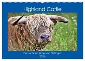 Geiger / CALVENDO |  Highland Cattle, die Hochlandrinder aus Pfeffingen (Wandkalender 2026 DIN A2 quer), CALVENDO Monatskalender | Sonstiges |  Sack Fachmedien