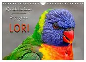 Roder / CALVENDO |  Wunderschöne Papageien - Lori (Wandkalender 2026 DIN A4 quer), CALVENDO Monatskalender | Sonstiges |  Sack Fachmedien