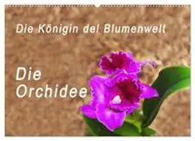 Rosenthal / CALVENDO |  Die Königin der Blumenwelt, die Orchidee (Wandkalender 2026 DIN A2 quer), CALVENDO Monatskalender | Sonstiges |  Sack Fachmedien