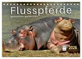 Roder / CALVENDO |  Flusspferde - gemütlich gefährlich (Tischkalender 2026 DIN A5 quer), CALVENDO Monatskalender | Sonstiges |  Sack Fachmedien