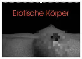 Stanzer / CALVENDO |  Erotische Körper (Wandkalender 2026 DIN A2 quer), CALVENDO Monatskalender | Sonstiges |  Sack Fachmedien