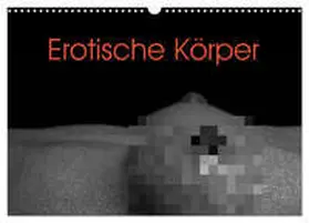 Stanzer / CALVENDO |  Erotische Körper (Wandkalender 2026 DIN A3 quer), CALVENDO Monatskalender | Sonstiges |  Sack Fachmedien