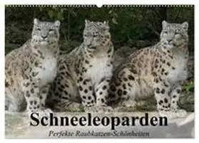Stanzer / CALVENDO |  Schneeleoparden. Perfekte Raubkatzen-Schönheiten (Wandkalender 2026 DIN A2 quer), CALVENDO Monatskalender | Sonstiges |  Sack Fachmedien