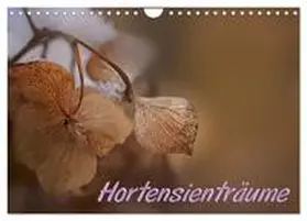 - Petra Voß / CALVENDO |  Hortensienträume (Wandkalender 2026 DIN A4 quer), CALVENDO Monatskalender | Sonstiges |  Sack Fachmedien