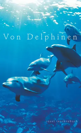 Dammel |  Von Delphinen | Buch |  Sack Fachmedien