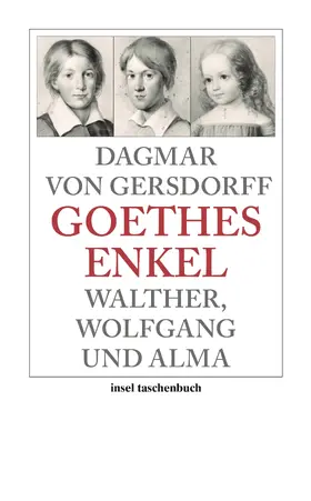 Gersdorff | Goethes Enkel | Buch | 978-3-458-35050-7 | sack.de