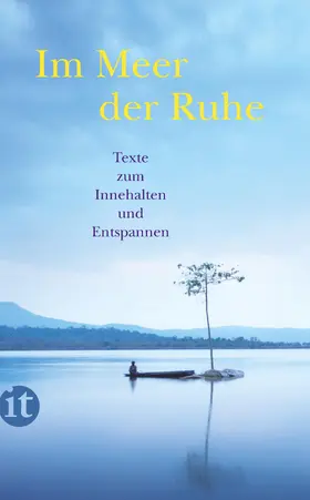  Im Meer der Ruhe | Buch |  Sack Fachmedien