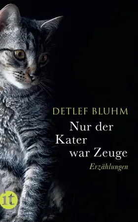 Bluhm |  Nur der Kater war Zeuge | Buch |  Sack Fachmedien