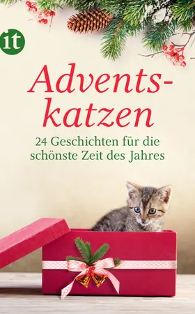 Dammel |  Adventskatzen | Buch |  Sack Fachmedien