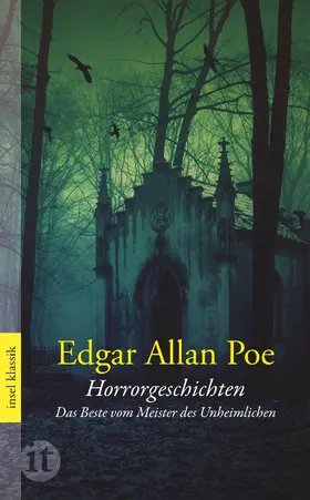 Poe |  Horrorgeschichten | Buch |  Sack Fachmedien