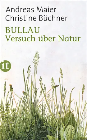 Maier / Büchner |  Bullau | Buch |  Sack Fachmedien