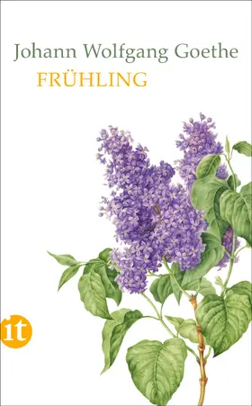 Goethe / Barth / Mayer |  Frühling | Buch |  Sack Fachmedien