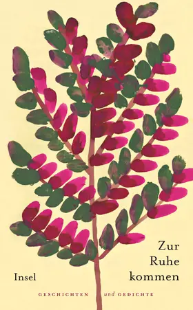 Paul |  Zur Ruhe kommen | Buch |  Sack Fachmedien