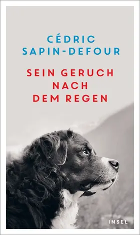 Sapin-Defour |  Sein Geruch nach dem Regen | Buch |  Sack Fachmedien