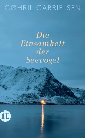 Gabrielsen |  Die Einsamkeit der Seevögel | Buch |  Sack Fachmedien