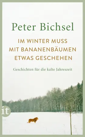 Bichsel / Schneider |  Im Winter muss mit Bananenbäumen etwas geschehen | Buch |  Sack Fachmedien