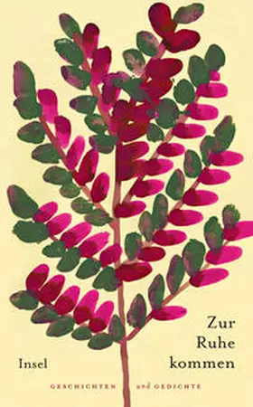 Paul |  Zur Ruhe kommen | eBook | Sack Fachmedien