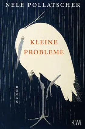 Pollatschek |  Kleine Probleme | Buch |  Sack Fachmedien