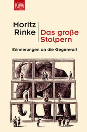 Rinke |  Das große Stolpern | Buch |  Sack Fachmedien