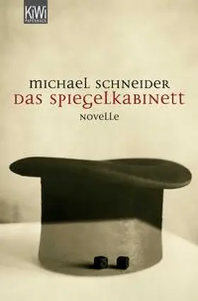 Schneider |  Spiegelkabinett | Buch |  Sack Fachmedien