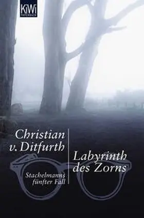 Ditfurth |  Labyrinth des Zorns | Buch |  Sack Fachmedien