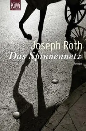 Roth |  Das Spinnennetz | Buch |  Sack Fachmedien