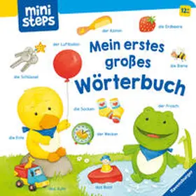Dierks |  ministeps: Mein erstes großes Wörterbuch | Buch |  Sack Fachmedien