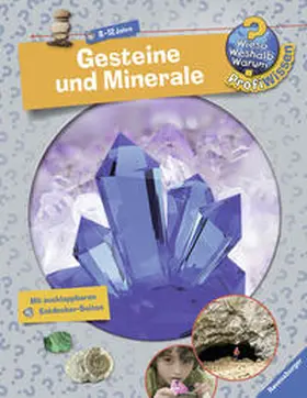 Dauer |  Gesteine und Minerale | Buch |  Sack Fachmedien