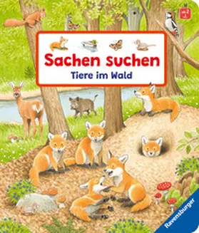 Gernhäuser |  Sachen suchen: Tiere im Wald | Buch |  Sack Fachmedien