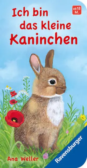 Dierks |  Ich bin das kleine Kaninchen | Buch |  Sack Fachmedien