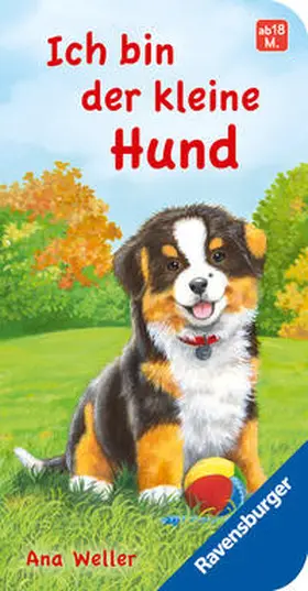 Dierks |  Ich bin der kleine Hund | Buch |  Sack Fachmedien