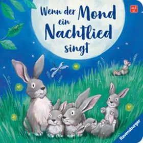 Orso | Wenn der Mond ein Nachtlied singt | Buch | 978-3-473-41826-8 | www2.sack.de