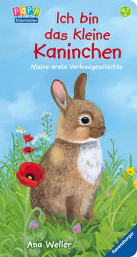 Dierks |  Ich bin das kleine Kaninchen: Meine erste Vorlesegeschichte | Buch |  Sack Fachmedien